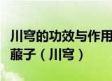 川穹的功效与作用点的功效与作用禁忌茯苓莱菔子（川穹）