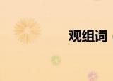 观组词（观如何组词）