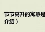 节节高升的寓意是什么（节节高升的寓意简单介绍）