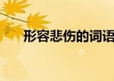 形容悲伤的词语（哪些词语表达悲伤）