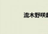 流木野咲起点（流木野咲）