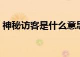 神秘访客是什么意思（神秘访客指的是什么）