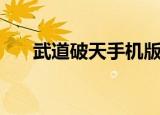 武道破天手机版下载安装（武道破天）