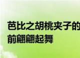 芭比之胡桃夹子的梦幻之旅姜娜和王子在喷泉前翩翩起舞