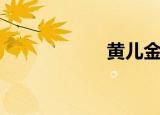 黄儿金吒续（黄儿）