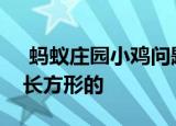  蚂蚁庄园小鸡问题：以下哪种动物的瞳孔是长方形的
