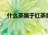 什么茶属于红茶类（常见的红茶有哪些）