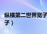 纵横第二世界宽子新笔趣阁（纵横第二世界宽子）