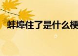 蚌埠住了是什么梗（蚌埠住了是什么意思）