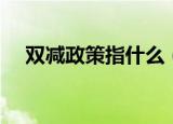 双减政策指什么（双减政策是什么意思）