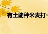 有土能种米麦打一字谜（有土能种米麦）