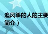 追风筝的人的主要内容赏析（关于追风筝的人简介）