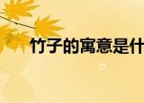竹子的寓意是什么（竹子的寓意介绍）