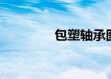 包塑轴承图纸（包塑轴承）