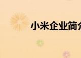 小米企业简介（小米企业介绍）