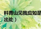 料青山见我应如是意思（料青山见我应如是的出处）