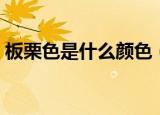 板栗色是什么颜色（栗子色发色是什么颜色）
