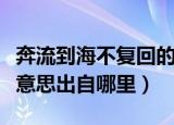 奔流到海不复回的意思（奔流到海不复回什么意思出自哪里）