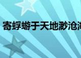 寄蜉蝣于天地渺沧海之一粟翻译（出自何处）