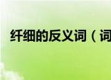 纤细的反义词（词语纤细的反义词是什么）