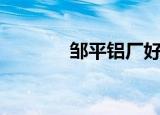 邹平铝厂好干吗（邹平铝厂）