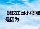  蚂蚁庄园小鸡问题：手指上长倒刺，很可能是因为