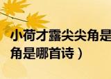 小荷才露尖尖角是哪首诗拼音（小荷才露尖尖角是哪首诗）