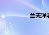 兰天洋老师（兰天洋）