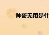 帅哥无用是什么意思（帅哥无用）