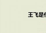 王飞是什么（王飞黄）