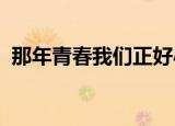 那年青春我们正好小说肖小军发现刘婷的伤