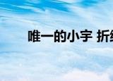 唯一的小宇 折纸蚂蚁（唯一的小宇）