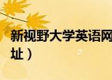 新视野大学英语网站入口（新视野大学英语网址）
