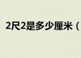2尺2是多少厘米（2尺2换算成厘米是多少）