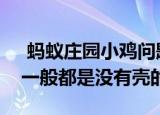  蚂蚁庄园小鸡问题：为什么我们买到的腰果一般都是没有壳的