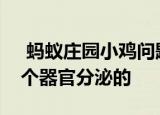  蚂蚁庄园小鸡问题：胆汁其实由人体的哪一个器官分泌的