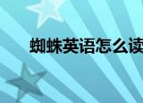 蜘蛛英语怎么读（蜘蛛的英语是什么）