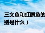 三文鱼和虹鳟鱼的区别（虹鳟鱼和三文鱼的区别是什么）