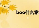 boo什么意思（BOO的解释）