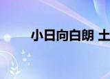 小日向白朗 土肥原贤二 溥仪 1931