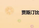 贾斯汀比伯照片（贾斯）