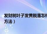 发财树叶子发黄脱落怎样挽救（发财树叶子发黄脱落的挽救方法）