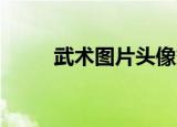 武术图片头像霸气（武艺qq头像）