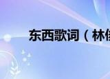 东西歌词（林俊呈的东西完整歌词）