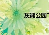 灰熊公园下载（灰熊公园）