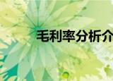 毛利率分析介绍（毛利率是什么）