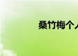 桑竹梅个人简历（桑竹梅）