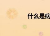 什么是病毒（病毒介绍）