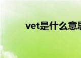 vet是什么意思中文（vet的意思）