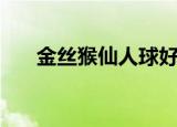 金丝猴仙人球好养吗（金丝猴仙人球）